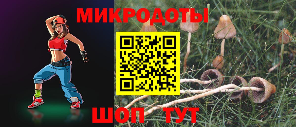 Ликино-Дулёво  Псилоцибиновые грибы Psilocybine cubensis  Вход с VPN 