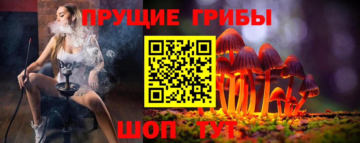 Псилоцибиновые грибы Psilocybine cubensis Ликино-Дулёво
